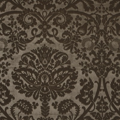 Ralph Lauren Home - ,    - 