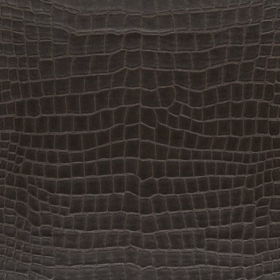 Ralph Lauren Home -  -  