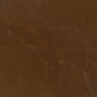 Ralph Lauren Home -  - 