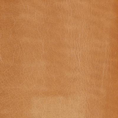 Ralph Lauren Home -  -  