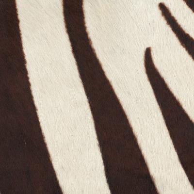 Ralph Lauren Home -  -  