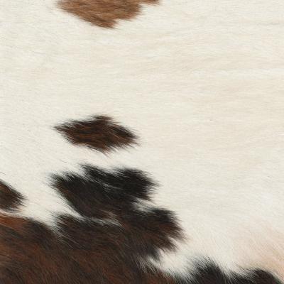 Ralph Lauren Home -  - 