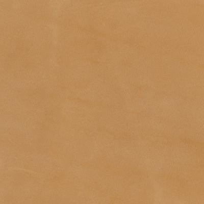Ralph Lauren Home -  -  