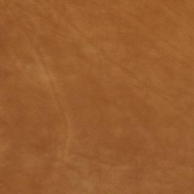 Ralph Lauren Home -  -   